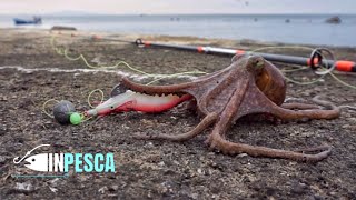 Pesca del POLPO dalla scogliera  Con le totanare modificate 🐙 [upl. by Fasano]