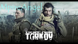 Escape From Tarkov  A Newbs Painful Learning Curve  MpireAngel [upl. by Tommie69]