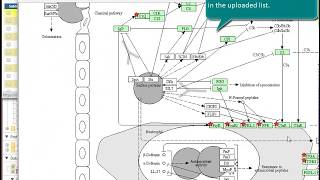 Enrichment Analysis [upl. by Shoshana129]