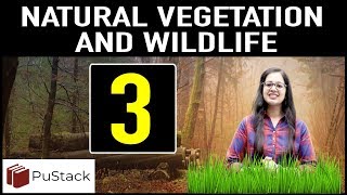 Geography  Natural Vegetation and Wild Life Part 3 [upl. by Breskin]