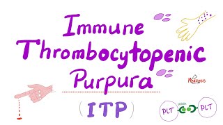 Immune Thrombocytopenia ITP — Most COMPREHENSIVE Explanation — Hematology [upl. by Anikahs554]