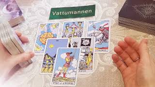 VATTUMANNEN Mars V 1213 🌟 Brillians 🌟 Tarot läsning [upl. by Namialus]