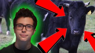 2 reasons why Humans cant eat Grass but Cows can [upl. by Ozzie]