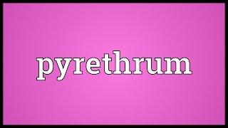 Pyrethrum Meaning [upl. by Hceicjow473]