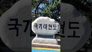 국기원 태권도 시범단 훈련 영상🇰🇷Kukkiwon Taekwondo Demonstration Team Training Video🇰🇷 [upl. by Domenic]