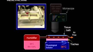 Recording Video of Mucus Transport [upl. by Berri]