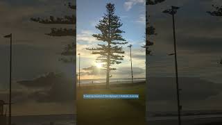 Walking along the Glenelg beach with sea sand trees grass and more adelaide australia beach [upl. by Riella]