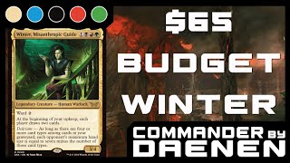 Budget Winter Misanthropic Guide  65 Commander Deck [upl. by Irelav]