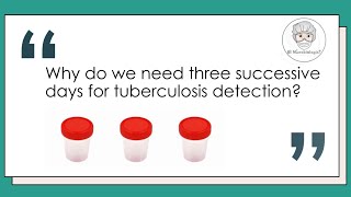 Sputum culture  Why 3 samples needed for TB Detection Mycobacterium tuberculosis Microbiology [upl. by Attiuqal]