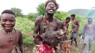 OMG HADZABE HUNTERS HAD A GOOD HUNT TODAY HADZABE TRIBE ORGINAL HUNTERS IN LAKE EYASI KARATU [upl. by Fiora272]