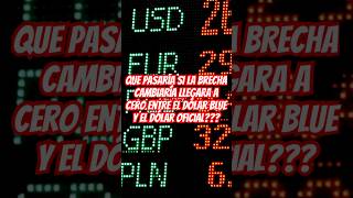 QUE PASARIA SI LA BRECHA CAMBIARIA ENTRE DOLAR BLUE Y EL DOLAR OFICIAL SE PULVERIZARA EN ARGENTINA [upl. by Janus]