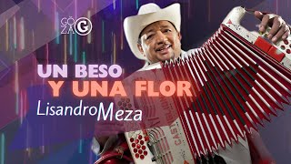 Un Beso y Una Flor Versión Cumbia Lisandro Meza [upl. by Nageem]