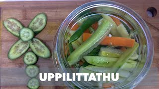 Uppilittathu  pickle recipe  cucumber 🥒 [upl. by Naahs]