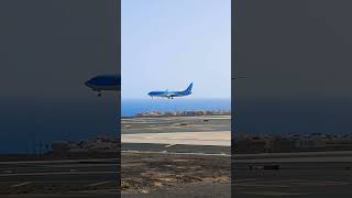 TUI Landing in Tenerife South tui tuifly landing spotting airplanes fyp airport boeing737 [upl. by Karsten]