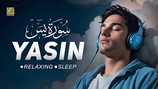 Surah Yasin Yaseen سورة يس  This Quran Recitation Will Help You Sleep إن شاء الله  Zikrullah TV [upl. by Ardnassak]