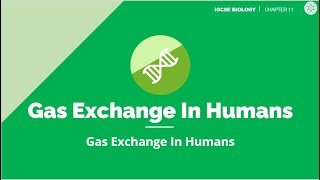 Gas Exchange In Humans  IGCSE Biology  Topic Explainer  ZNotes [upl. by Harragan425]