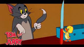 Tom amp Jerry going feral  GenerationWB [upl. by Eilyac923]