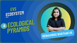 Lec4  Ecological Pyramids  Ecosystem  Debashree Borthakur biology science ecosystem [upl. by Tybi]