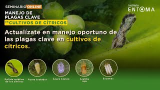 👨🏻‍🏫SEMINARIO Manejo de Plagas en Cultivos de Cítricos🍊 [upl. by Leay777]