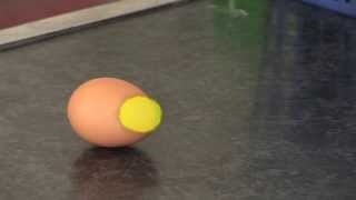 Egg Experiment to Demonstrate Inertia [upl. by Eniamsaj]