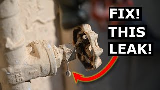 How To Fix Leaking Shut Off Valve FAST DIY  Avoid Plumber in 2023 [upl. by Ylrebmit]