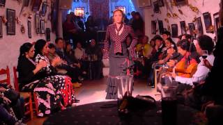 Flamenco Vivo Cueva de Sacromonte Granada Spain Teaser Part 2 [upl. by Moulden653]