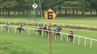 N R I TOUCH with Arshad Alam up wins The Prince Regent Plate Div2 2024 [upl. by Luzader]