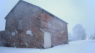 My winter residence is a derelict coach house in a car park [upl. by Briana994]