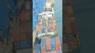 CONTAINER SHIP  Quay crane container ship loading shorts ytshorts [upl. by Anej]