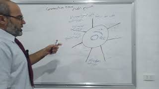 الخلايا المتوسطية Mesenchymal cells [upl. by Nedak]