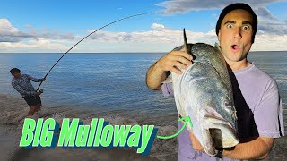 Screaming Reels and Big Fish  Surf Fishing for Mulloway [upl. by Colp]