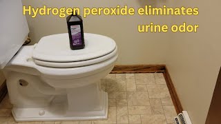 Using Hydrogen Peroxide To Eliminate Urine Odor In The Bathroom [upl. by Somerville]