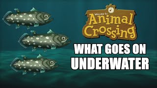 Animal Crossing  What Goes On Underwater [upl. by Cassy]