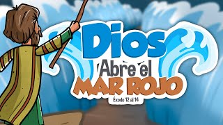 Dios abre el Mar Rojo ⚔️🌊  Historia de la Biblia  Mi Primera Biblia  23 [upl. by Charita366]