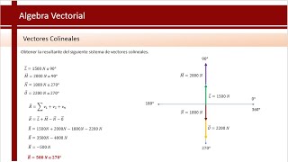 Vectores Colineales  Física [upl. by Nadirehs758]