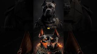 PITBULL VS CANE CORSODOBERMANROTTWEILERBOERBOEL DOGTOP AGGRESSIVE DOGS [upl. by Cantu821]