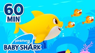 Baby Shark Doo Doo Doo 60 Min  Compilation  Baby Shark Remix  Baby Shark Official [upl. by Guendolen]