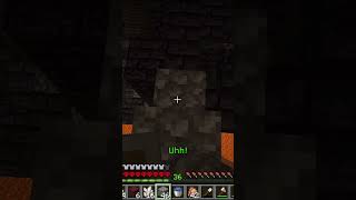 VISITING THE NETHER WITH 1 LIFE IN MINECRAFT  viral mustwatch [upl. by Gertruda683]