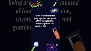 GeneticCode DNA adenine thymine cytosine and guanine shorts [upl. by Dyal]