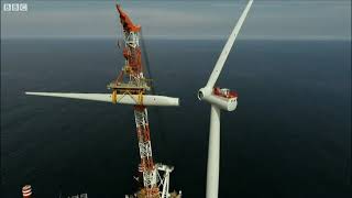 Is Hornsea Wind Farm causing issues for sea birds [upl. by Nelleyram619]