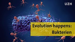 Evolution happens Bakterien [upl. by Neva]