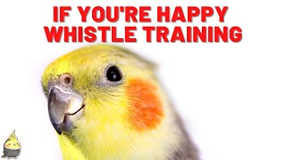 IF YOURE HAPPY with WHISTLE 1 HOUR  Whistling Songs  Cockatiel Singing Training whistle [upl. by Sophronia219]