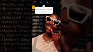 Jabula Jabula Jabula Ka Cool🙌SUBSCRIBE FOR MORE 💯💯💯💯reels felix djkarri 2024 EffMalema [upl. by Ablem]