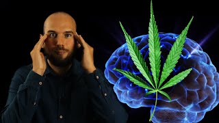 Perché la Cannabis ci fa Effetto [upl. by Dunlavy892]