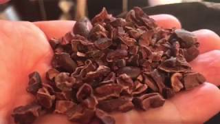 Organic Cacao  Cocoa Nibs 2 Pounds by Anthonys Batch Tested and Verified GlutenFree 32 ounces [upl. by Gnni]