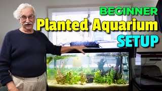 Unleash Your Creativity How To Create A Stunning Natural Planted Aquarium [upl. by Moser]