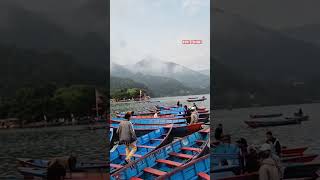 pokhara phewalake naturelovers lake lakelovers [upl. by Carn]