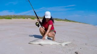 Catching a quotBlacknose Sharkquot at New Smyrna Beach [upl. by Ecinahs]