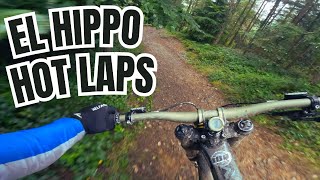 Dyfi Bike Park El Hippo Hot Laps 🔥 GastoVlog [upl. by Watkins]