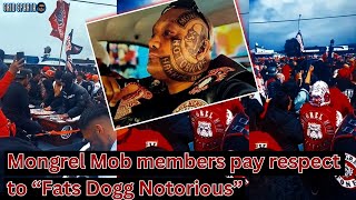 Mongrel Mob members pay respect to quotFats Dogg Notorousquot in Wellington [upl. by Brunhilde]